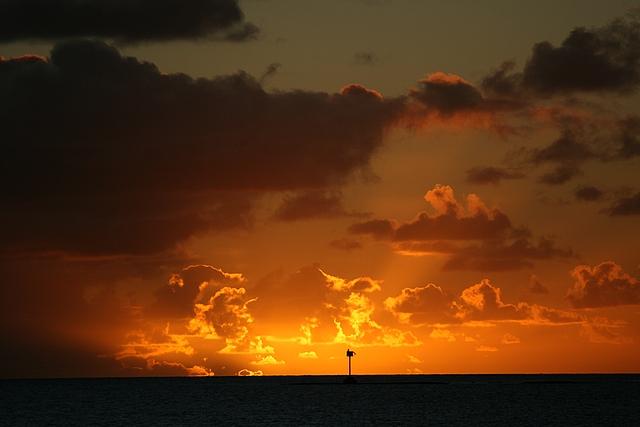 soleil du pacifique (2).jpg